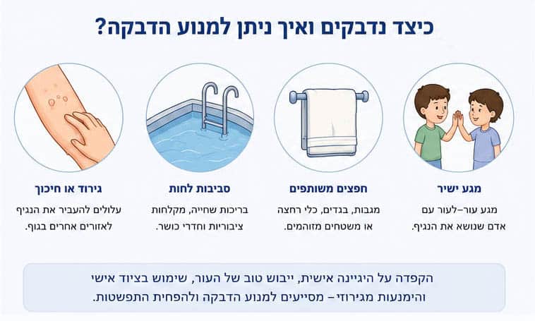 איך אפשר למנוע הדבקה ביבלות ומולוסקום - תרשים