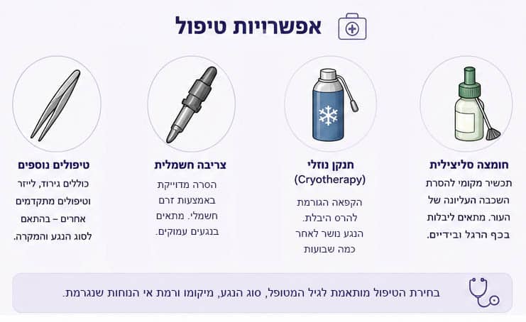 דרכי טיפול נפוצות ביבלות